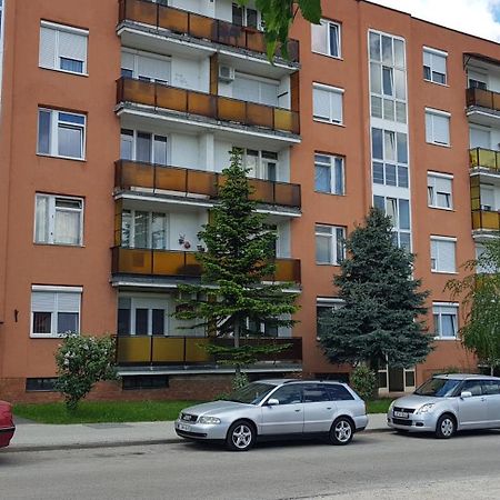 Ferienwohnung Veszprem Kucko Exterior foto